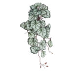 GloboStar® Artificial Garden REX BEGONIA HANGING PLANT 20604 Τεχνητό Διακοσμητικό Κρεμαστό Φυτό Βιγόνια Υ45cm - Image 2