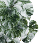 GloboStar® Artificial Garden ALBINO MONSTERA HANGING PLANT 20609 - Τεχνητό Διακοσμητικό Κρεμαστό Φυτό Μονστέρα Υ45cm - Image 3