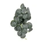 GloboStar® Artificial Garden BEGONIA 20611 Τεχνητό Κρεμαστό Διακοσμητικό Φυτό Βιγόνια Μ30 x Π15 x Y45cm - Image 2