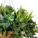 GloboStar® Artificial Garden VARIOUS HANGING PLANT 20623 Τεχνητό Κρεμαστό Διακοσμητικό Φυτό Φτέρης Π60 x Μ60 x Y70cm - Image 5
