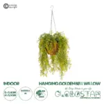 GloboStar® Artificial Garden GOLDEN BELL WILLOW HANGING PLANT 20626 Τεχνητό Κρεμαστό Διακοσμητικό Φυτό Κίτρινη Ιτιά Μ40 x Π40 x Y60cm