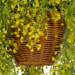 GloboStar® Artificial Garden GOLDEN BELL WILLOW HANGING PLANT 20626 Τεχνητό Κρεμαστό Διακοσμητικό Φυτό Κίτρινη Ιτιά Μ40 x Π40 x Y60cm - Image 6