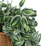 GloboStar® Artificial Garden TRADESCANTIA ZEBRINA HANGING PLANT 20627 Τεχνητό Κρεμαστό Διακοσμητικό Φυτό Ζεμπρίνα Y80cm - Image 5