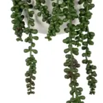 GloboStar® Artificial Garden HANGING LOVER'S TEARS 20628 - Τεχνητό Κρεμαστό Διακοσμητικό Φυτό Lover's Tears Μ16 x Π16 x Y50cm - Image 5