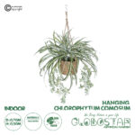 GloboStar® Artificial Garden CHLOROPHYTUM COMOSUM HANGING PLANT 20638 Τεχνητό Κρεμαστό Διακοσμητικό Χλωρόφυτο  Y50cm