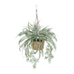 GloboStar® Artificial Garden CHLOROPHYTUM COMOSUM HANGING PLANT 20638 Τεχνητό Κρεμαστό Διακοσμητικό Χλωρόφυτο  Y50cm - Image 2