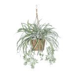 GloboStar® Artificial Garden CHLOROPHYTUM COMOSUM HANGING PLANT 20638 Τεχνητό Κρεμαστό Διακοσμητικό Χλωρόφυτο  Y50cm - Image 3