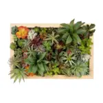 GloboStar® Artificial Garden VARIOUS PLANT 20642 Τεχνητό Διακοσμητικό Φυλλωσιάς σε Ξύλινο Πάνελ - Κάθετος Κήπος Μιξ Μ60 x Π40 x Υ20cm - Image 2