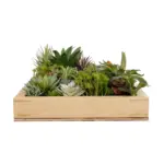 GloboStar® Artificial Garden VARIOUS PLANT 20642 Τεχνητό Διακοσμητικό Φυλλωσιάς σε Ξύλινο Πάνελ - Κάθετος Κήπος Μιξ Μ60 x Π40 x Υ20cm - Image 4