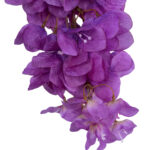 GloboStar® Artificial Garden BOUGAUVILLEA BRANCH 20661 Τεχνητό Διακοσμητικό Κλαδί Μπουκανβίλιας Μωβ Y80cm - Image 3