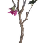 GloboStar® Artificial Garden BOUGAUVILLEA 20675 Τεχνητό Διακοσμητικό Φυτό με Ανθη Μπουκανβίλιας Φουξ Υ150cm - Image 4
