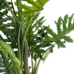 GloboStar® Artificial Garden PHILODENDRON 20684 Τεχνητό Διακοσμητικό Φυτό Φυλλόδενδρο Υ150cm - Image 3