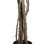 GloboStar® Artificial Garden PHILODENDRON 20684 Τεχνητό Διακοσμητικό Φυτό Φυλλόδενδρο Υ150cm - Image 4