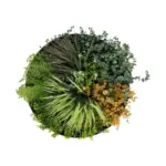GloboStar® Artificial Garden VARIOUS PLANTS ROUND WALL DISC 20688 Τεχνητό Διακοσμητικό Στρογγυλό Πάνελ Φυλλωσιάς - Κάθετος Κήπος Μιξ Μ50 x Π50 x Υ23cm - Image 2