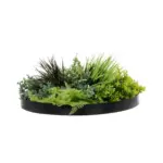 GloboStar® Artificial Garden VARIOUS PLANTS ROUND WALL DISC 20688 Τεχνητό Διακοσμητικό Στρογγυλό Πάνελ Φυλλωσιάς - Κάθετος Κήπος Μιξ Μ50 x Π50 x Υ23cm - Image 3