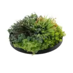 GloboStar® Artificial Garden VARIOUS PLANTS ROUND WALL DISC 20688 Τεχνητό Διακοσμητικό Στρογγυλό Πάνελ Φυλλωσιάς - Κάθετος Κήπος Μιξ Μ50 x Π50 x Υ23cm - Image 5
