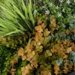 GloboStar® Artificial Garden VARIOUS PLANTS ROUND WALL DISC 20688 Τεχνητό Διακοσμητικό Στρογγυλό Πάνελ Φυλλωσιάς - Κάθετος Κήπος Μιξ Μ50 x Π50 x Υ23cm - Image 6