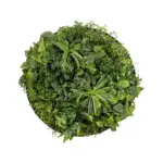 GloboStar® Artificial Garden VARIOUS PLANTS ROUND WALL DISC 20689 Τεχνητό Διακοσμητικό Στρογγυλό Πάνελ Φυλλωσιάς - Κάθετος Κήπος Μιξ Μ70 x Π70 x Υ15cm - Image 2