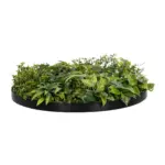 GloboStar® Artificial Garden VARIOUS PLANTS ROUND WALL DISC 20689 Τεχνητό Διακοσμητικό Στρογγυλό Πάνελ Φυλλωσιάς - Κάθετος Κήπος Μιξ Μ70 x Π70 x Υ15cm - Image 3