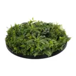 GloboStar® Artificial Garden VARIOUS PLANTS ROUND WALL DISC 20689 Τεχνητό Διακοσμητικό Στρογγυλό Πάνελ Φυλλωσιάς - Κάθετος Κήπος Μιξ Μ70 x Π70 x Υ15cm - Image 4