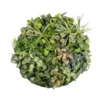 GloboStar® Artificial Garden VARIOUS PLANTS ROUND WALL DISC 20690 Τεχνητό Διακοσμητικό Στρογγυλό Πάνελ Φυλλωσιάς - Κάθετος Κήπος Μιξ Μ80 x Π80 x Υ20cm - Image 2