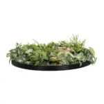 GloboStar® Artificial Garden VARIOUS PLANTS ROUND WALL DISC 20690 Τεχνητό Διακοσμητικό Στρογγυλό Πάνελ Φυλλωσιάς - Κάθετος Κήπος Μιξ Μ80 x Π80 x Υ20cm - Image 3