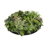 GloboStar® Artificial Garden VARIOUS PLANTS ROUND WALL DISC 20690 Τεχνητό Διακοσμητικό Στρογγυλό Πάνελ Φυλλωσιάς - Κάθετος Κήπος Μιξ Μ80 x Π80 x Υ20cm - Image 4