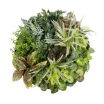 GloboStar® Artificial Garden VARIOUS PLANTS ROUND WALL DISC 20691 Τεχνητό Διακοσμητικό Στρογγυλό Πάνελ Φυλλωσιάς - Κάθετος Κήπος Μιξ Μ60 x Π60 x Υ20cm - Image 2