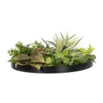GloboStar® Artificial Garden VARIOUS PLANTS ROUND WALL DISC 20691 Τεχνητό Διακοσμητικό Στρογγυλό Πάνελ Φυλλωσιάς - Κάθετος Κήπος Μιξ Μ60 x Π60 x Υ20cm - Image 3