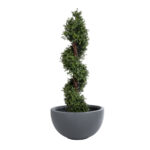 GloboStar® Artificial Garden BALTIMORE 20697 Διακοσμητικό Πολυεστερικό Τσιμεντένιο Κασπώ Γλάστρα - Flower Pot Γκρι Φ61 x Υ30cm - Image 6