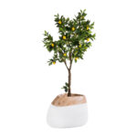 GloboStar® Artificial Garden PANDORA 20705 Επιδαπέδιο Πολυεστερικό Τσιμεντένιο Κασπώ Γλάστρα - Flower Pot Λευκό με Καφέ Μ60 x Π55 x Υ43cm - Image 6