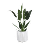 GloboStar® Artificial Garden PADOVA 20741 Επιδαπέδιο Πολυεστερικό Τσιμεντένιο Κασπώ Γλάστρα - Flower Pot Λευκό Φ51 x Υ46cm - Image 6