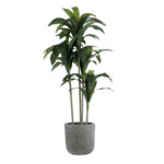 GloboStar® Artificial Garden ERICE 20757 Επιδαπέδιο Πολυεστερικό Τσιμεντένιο Κασπώ Γλάστρα - Flower Pot Γκρι Φ25 x Υ23cm - Image 6