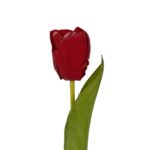 GloboStar® Artificial Garden RED TULIP BRANCH 21203 Τεχνητό Διακοσμητικό Κλαδί Κόκκινη Τουλίπα Y37cm - Image 3