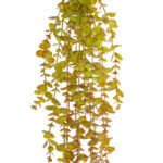GloboStar® Artificial Garden HANGING EUCALYPTUS 20808 Τεχνητό Διακοσμητικό Κρεμαστό Φυτό Ευκάλυπτος Μ16 x Π9 x Υ105cm - Image 3