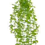 GloboStar® Artificial Garden HANGING EUCALYPTUS 20809 Τεχνητό Διακοσμητικό Κρεμαστό Φυτό Ευκάλυπτος Μ16 x Π9 x Υ105cm - Image 3