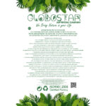 GloboStar® Artificial Garden HANGING EUCALYPTUS 20809 Τεχνητό Διακοσμητικό Κρεμαστό Φυτό Ευκάλυπτος Μ16 x Π9 x Υ105cm - Image 4