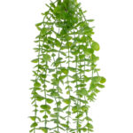 GloboStar® Artificial Garden HANGING EUCALYPTUS 20812 Τεχνητό Διακοσμητικό Κρεμαστό Φυτό Ευκάλυπτος Μ16 x Π9 x Υ105cm - Image 3