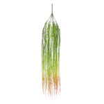 GloboStar® Artificial Garden HANGING GRASS 20815 Τεχνητό Διακοσμητικό Κρεμαστό Φυτό Grass Μ18 x Π4 x Υ81cm - Image 2