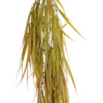 GloboStar® Artificial Garden HANGING CORN GRASS 20824 Τεχνητό Διακοσμητικό Κρεμαστό κλαδί Καλαμπόκι Μ23 x Π10 x Υ91cm - Image 3