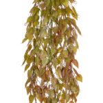 GloboStar® Artificial Garden HANGING LIMA BEAN 20844 Τεχνητό Διακοσμητικό Κρεμαστό Φυτό Φασόλι Λίμα Μ29 x Π10 x Υ86cm - Image 3