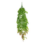 GloboStar® Artificial Garden HANGING LIMA BEAN 20846 Τεχνητό Διακοσμητικό Κρεμαστό Φυτό Φασόλι Λίμα Μ29 x Π10 x Υ86cm - Image 2