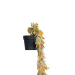 GloboStar® Artificial Garden HANGING POMELO LEAF 20871 - Τεχνητό Κρεμαστό Διακοσμητικό Φυτό Φύλλο Πομέλο  Φ17 x Y50cm - Image 4