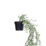 GloboStar® Artificial Garden HANGING DAFFODIL LEAF 20873 - Τεχνητό Κρεμαστό Διακοσμητικό Φυτό Φύλλο Νάρκισσου Φ25 x Y60cm - Image 4