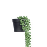 GloboStar® Artificial Garden HANGING LOVER'S TEARS 20878 - Τεχνητό Κρεμαστό Διακοσμητικό Φυτό Lover's Tears Φ12 x Y40cm - Image 4