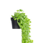 GloboStar® Artificial Garden HANGING PEACH LEAF 20880 - Τεχνητό Κρεμαστό Διακοσμητικό Φυτό Φύλλο Ροδακινιάς  Φ20 x Y50cm - Image 4