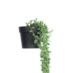 GloboStar® Artificial Garden HANGING LOVER'S TEARS 20882 - Τεχνητό Κρεμαστό Διακοσμητικό Φυτό Lover's Tears Φ15 x Y70cm - Image 4