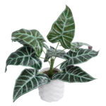 GloboStar® Artificial Garden ALOCASIA 20886 Τεχνητό Διακοσμητικό Φυτό Αλοκασία Φ38 x Υ33cm - Image 2
