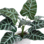 GloboStar® Artificial Garden ALOCASIA 20886 Τεχνητό Διακοσμητικό Φυτό Αλοκασία Φ38 x Υ33cm - Image 3