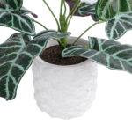 GloboStar® Artificial Garden ALOCASIA 20886 Τεχνητό Διακοσμητικό Φυτό Αλοκασία Φ38 x Υ33cm - Image 4
